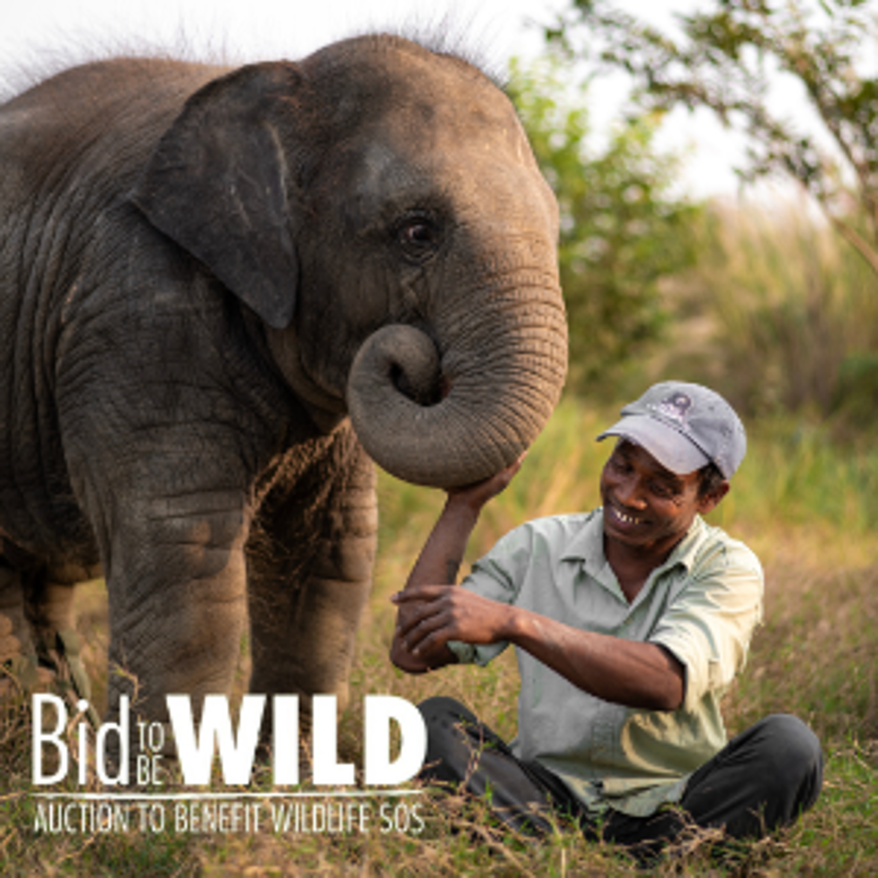 Wildlife SOS 2025 | Powered by Givergy
