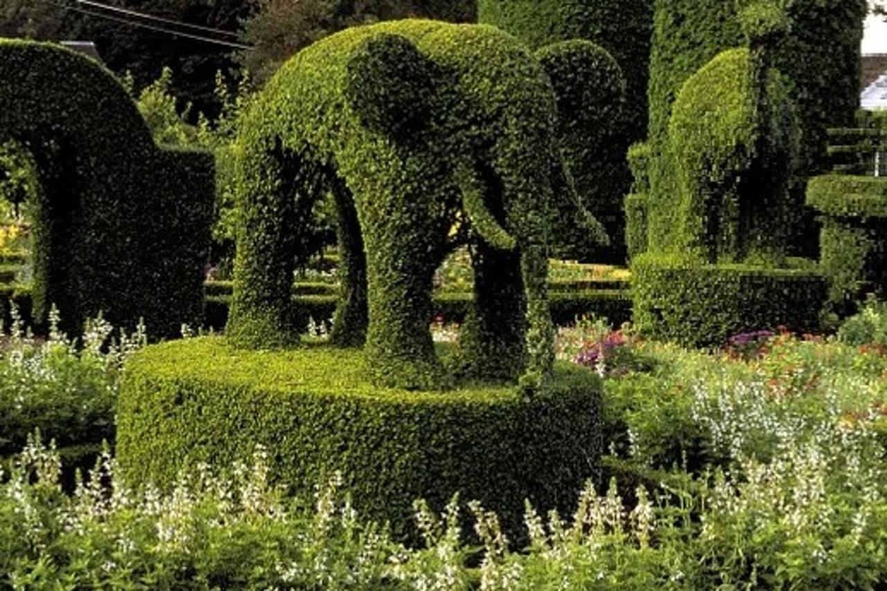 4 Tix to Green Animals Topiary Garden in RI | Powered by Givergy